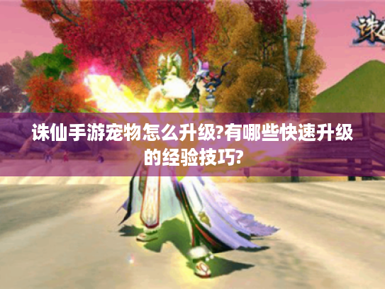 诛仙手游宠物怎么升级?有哪些快速升级的经验技巧? 诛仙手游宠物怎么升级?有哪些快速升级的经验技巧?