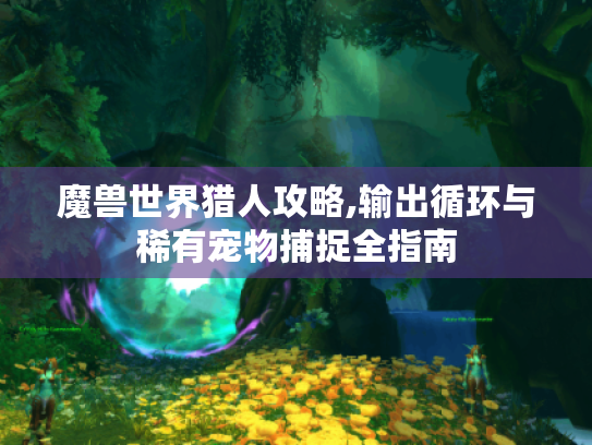魔兽世界猎人攻略,输出循环与稀有宠物捕捉全指南