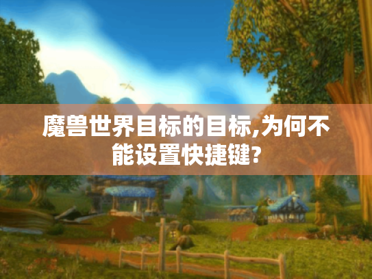 魔兽世界目标的目标,为何不能设置快捷键?