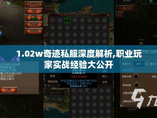 1.02w奇迹私服深度解析,职业玩家实战经验大公开