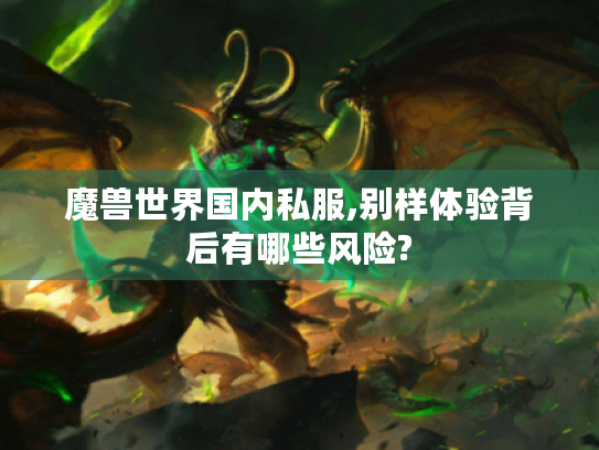 魔兽世界国内私服,别样体验背后有哪些风险?