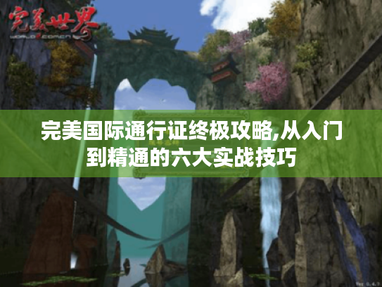 完美国际通行证终极攻略,从入门到精通的六大实战技巧