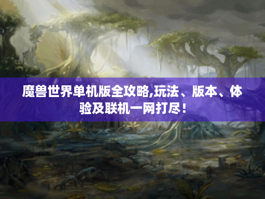 魔兽世界单机版全攻略,玩法、版本、体验及联机一网打尽！