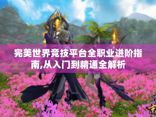 完美世界竞技平台全职业进阶指南,从入门到精通全解析