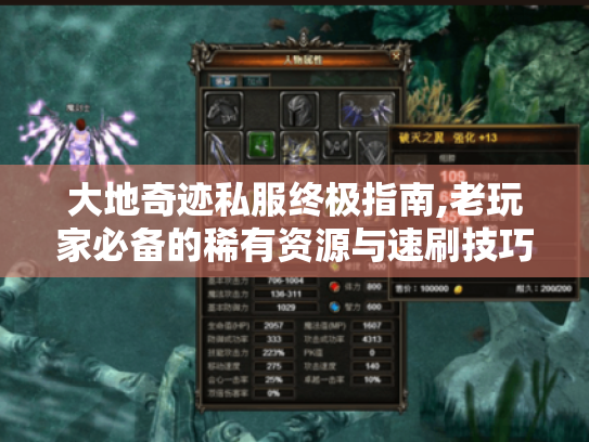 大地奇迹私服终极指南,老玩家必备的稀有资源与速刷技巧 大地奇迹私服终极指南,老玩家必备的稀有资源与速刷技巧