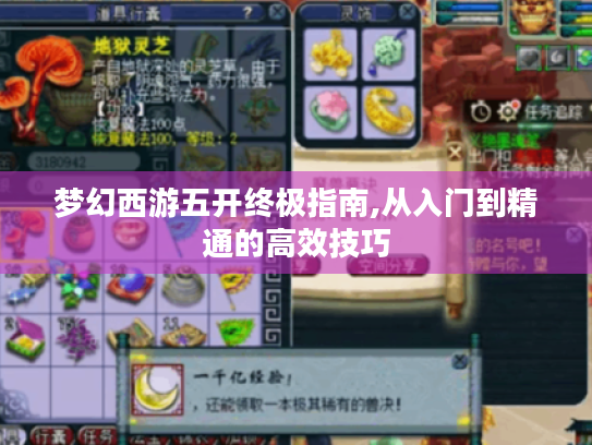 梦幻西游五开终极指南,从入门到精通的高效技巧 梦幻西游五开终极指南,从入门到精通的高效技巧