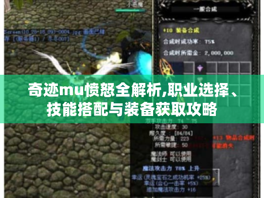 奇迹mu愤怒全解析,职业选择、技能搭配与装备获取攻略
