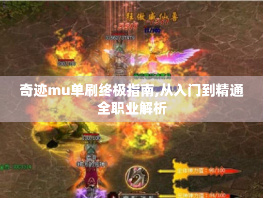 奇迹mu单刷终极指南,从入门到精通全职业解析
