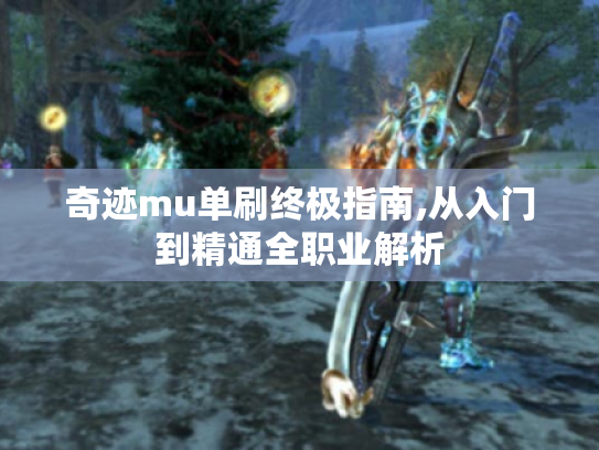 奇迹mu单刷终极指南,从入门到精通全职业解析