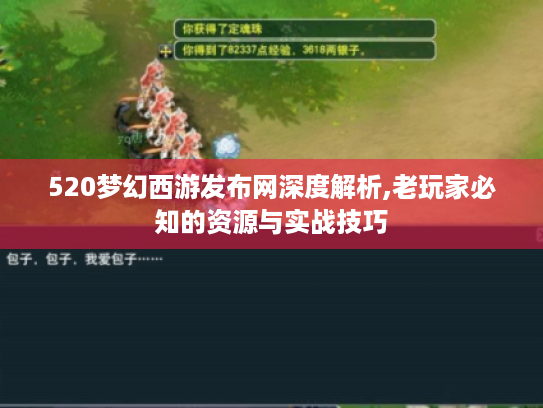 520梦幻西游发布网深度解析,老玩家必知的资源与实战技巧 520梦幻西游发布网深度解析,老玩家必知的资源与实战技巧
