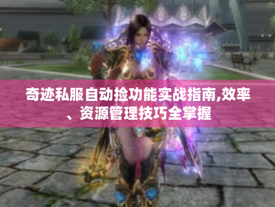 奇迹私服自动捡功能实战指南,效率、资源管理技巧全掌握