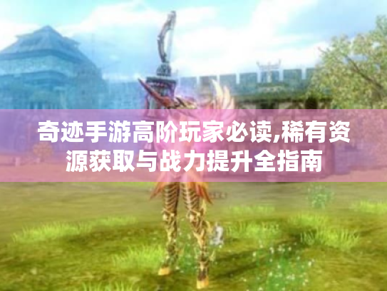奇迹手游高阶玩家必读,稀有资源获取与战力提升全指南 奇迹手游高阶玩家必读,稀有资源获取与战力提升全指南