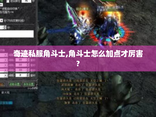 奇迹私服角斗士,角斗士怎么加点才厉害? 奇迹私服角斗士,角斗士怎么加点才厉害?