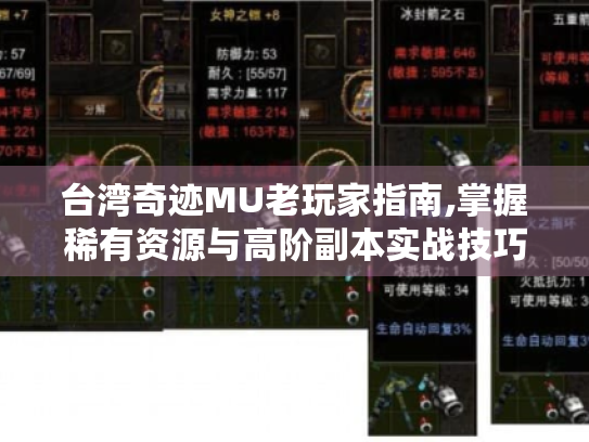 台湾奇迹MU老玩家指南,掌握稀有资源与高阶副本实战技巧