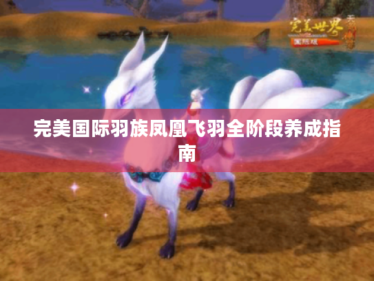 完美国际羽族凤凰飞羽全阶段养成指南