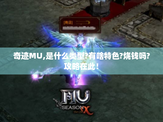奇迹MU,是什么类型?有啥特色?烧钱吗?攻略在此！