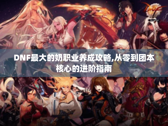 DNF最大的奶职业养成攻略,从零到团本核心的进阶指南
