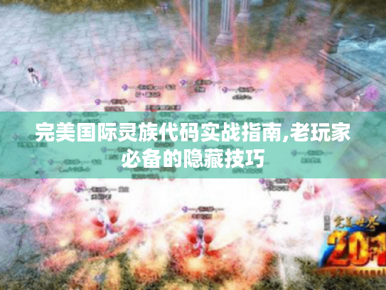 完美国际灵族代码实战指南,老玩家必备的隐藏技巧