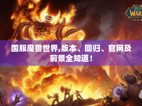 国服魔兽世界,版本、回归、官网及前景全知道！
