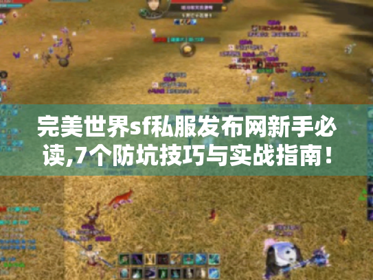 完美世界sf私服发布网新手必读,7个防坑技巧与实战指南！