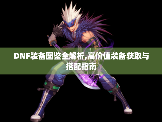 DNF装备图鉴全解析,高价值装备获取与搭配指南