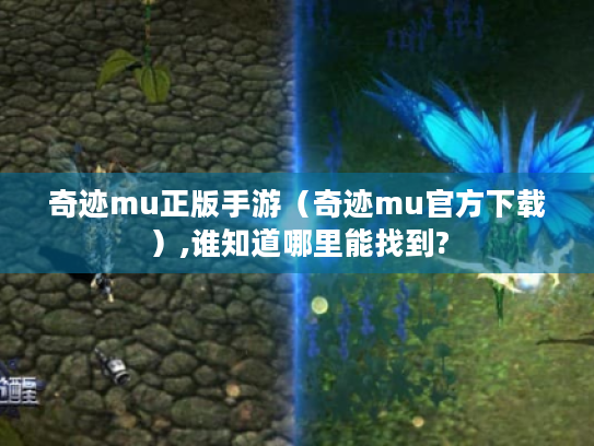 奇迹mu正版手游（奇迹mu官方下载）,谁知道哪里能找到?