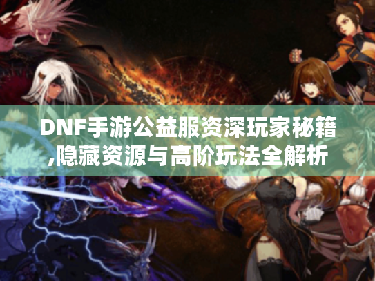 DNF手游公益服资深玩家秘籍,隐藏资源与高阶玩法全解析