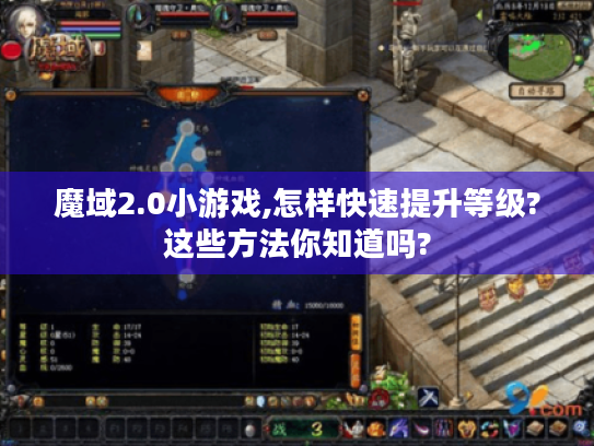 魔域2.0小游戏,怎样快速提升等级?这些方法你知道吗?