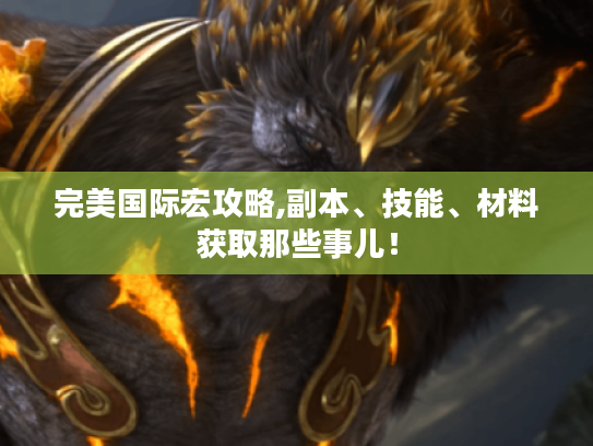 完美国际宏攻略,副本、技能、材料获取那些事儿！