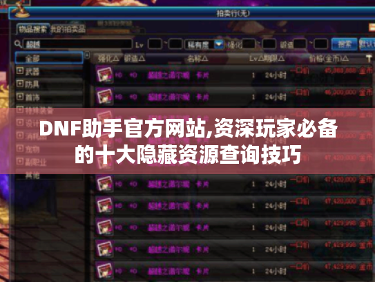 DNF助手官方网站,资深玩家必备的十大隐藏资源查询技巧