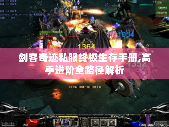 剑客奇迹私服终极生存手册,高手进阶全路径解析