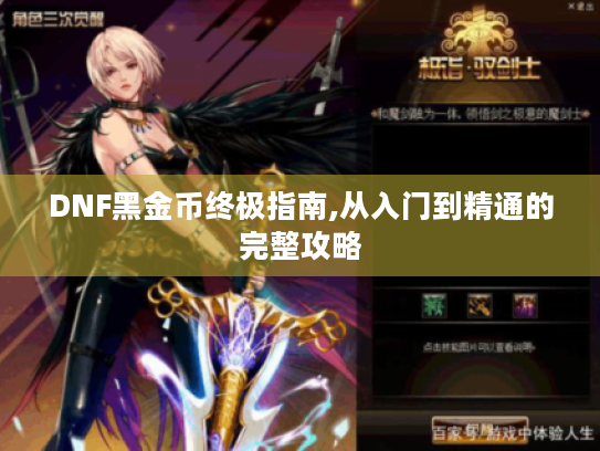 DNF黑金币终极指南,从入门到精通的完整攻略