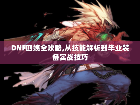 DNF四姨全攻略,从技能解析到毕业装备实战技巧