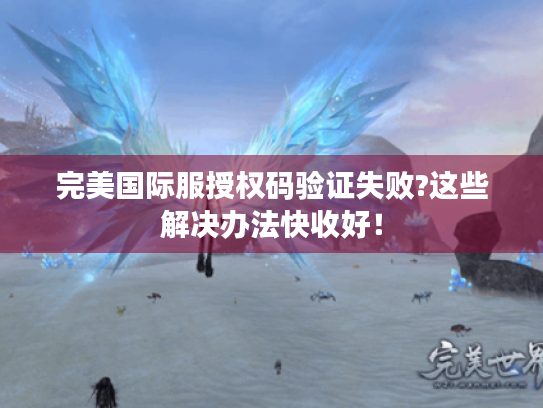 完美国际服授权码验证失败?这些解决办法快收好！