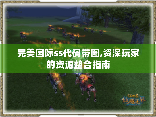 完美国际ss代码带图,资深玩家的资源整合指南