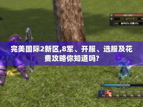 完美国际2新区,8军、开服、选服及花费攻略你知道吗?
