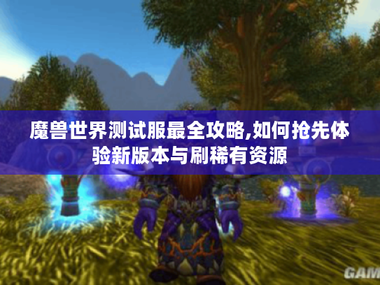 魔兽世界测试服最全攻略,如何抢先体验新版本与刷稀有资源