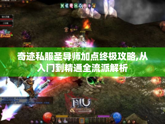 奇迹私服圣导师加点终极攻略,从入门到精通全流派解析 奇迹私服圣导师加点终极攻略,从入门到精通全流派解析