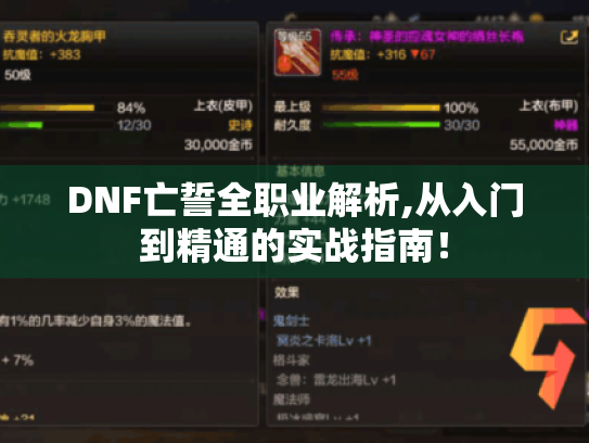 DNF亡誓全职业解析,从入门到精通的实战指南！