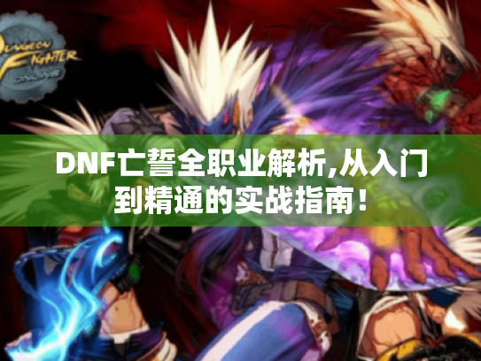 DNF亡誓全职业解析,从入门到精通的实战指南！