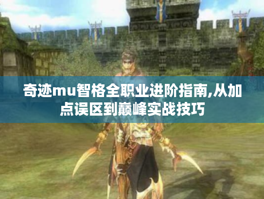 奇迹mu智格全职业进阶指南,从加点误区到巅峰实战技巧
