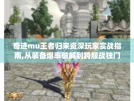 奇迹mu王者归来资深玩家实战指南,从装备爆率破解到跨服战独门心法