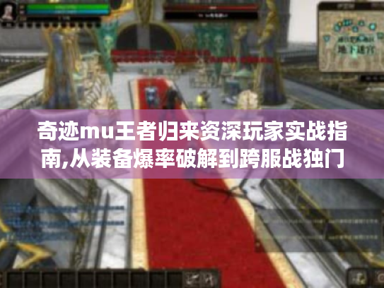奇迹mu王者归来资深玩家实战指南,从装备爆率破解到跨服战独门心法
