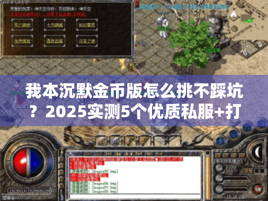 我本沉默金币版怎么挑不踩坑？2025实测5个优质私服+打金暴富攻略