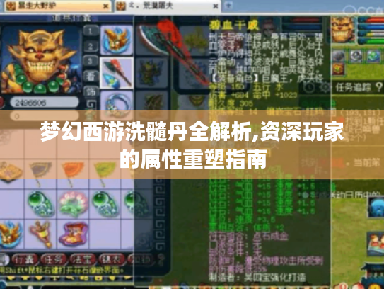 梦幻西游洗髓丹全解析,资深玩家的属性重塑指南