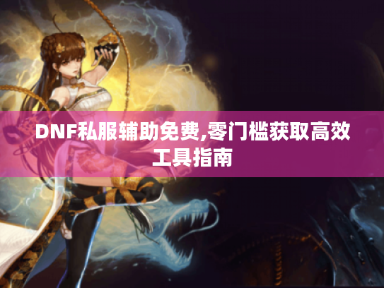 DNF私服辅助免费,零门槛获取高效工具指南
