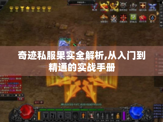 奇迹私服果实全解析,从入门到精通的实战手册