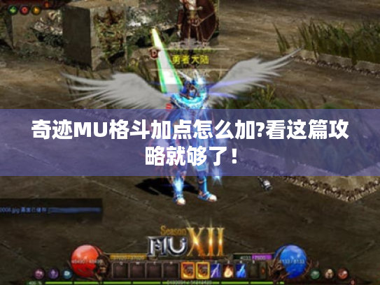 奇迹MU格斗加点怎么加?看这篇攻略就够了! 奇迹MU格斗加点怎么加?看这篇攻略就够了!
