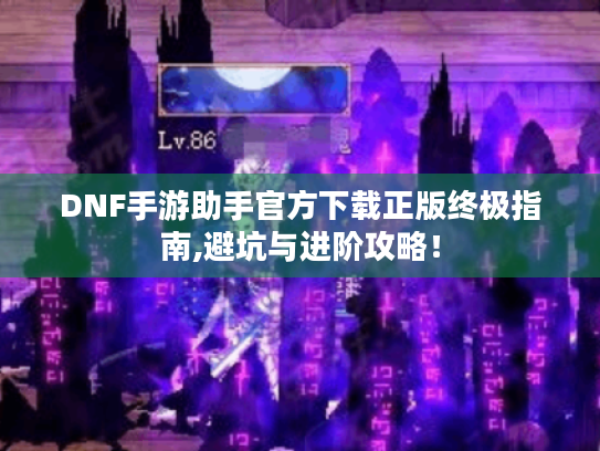 DNF手游助手官方下载正版终极指南,避坑与进阶攻略！