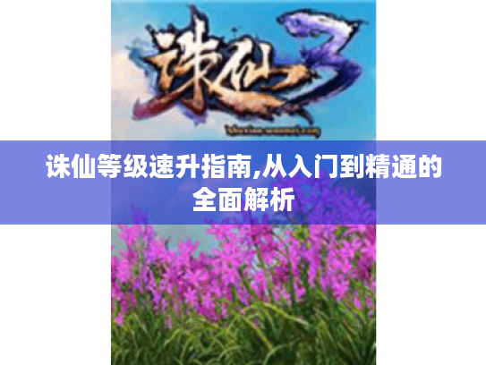 诛仙等级速升指南,从入门到精通的全面解析